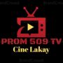 Promo 509 tv