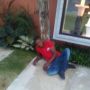 T.jezi official