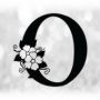 Onelfils Jules