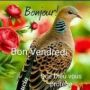 Frisnel Prince
