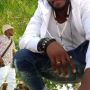 papi love