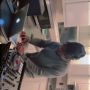 Selecta Cash_B_